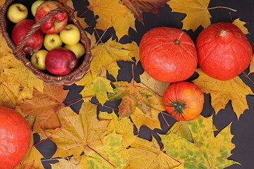 Autumn still life with maple leaves, pumpkins, apples. Harvest, Halloween, Thanksgiving
