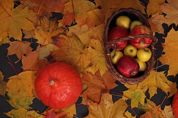 Autumn still life with maple leaves, pumpkins, apples. Harvest, Halloween, Thanksgiving.