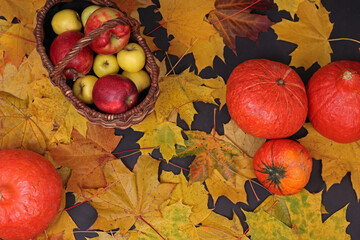 Autumn still life with maple leaves, pumpkins, apples. Harvest, Halloween, Thanksgiving