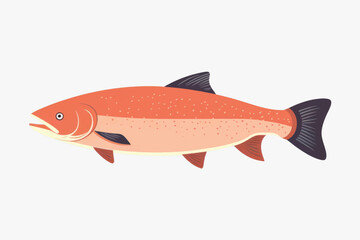 Fototapeta premium Illustrated salmon fish vector graphic