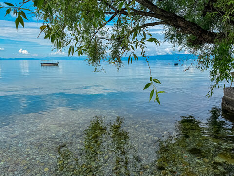 Tranquil lakeside scene framed by weeping willow tree on pebble Beach Potpesh of Lake Ohrid, North Macedonia. Crystal clear water reflecting surrounding hills and mountains. Summer vacation, Balkans