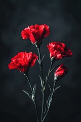 Obraz premium Three Red Carnations in Vase