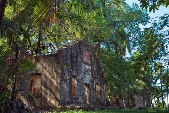 Ruined cells of penal colony on Ile Saint-Joseph, Iles du Salut (Islands of Salvation), French Guiana, Overseas department and region of France, French Guiana, South America