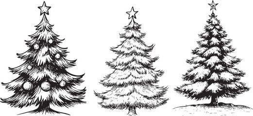 Fototapeta premium Christmas tree Hand drawn design. Isolated on a white background ink sketch vintage