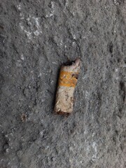 Cigarete on the ground