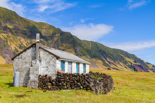 View of the potato patch on Tristan da Cunha, the most remote inhabited location on Earth, Tristan da Cunha, South Atlantic Ocean
