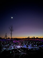 Field of Light in Uluru before Sunrise 8