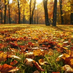 Autumn. Beautiful landscape. 
