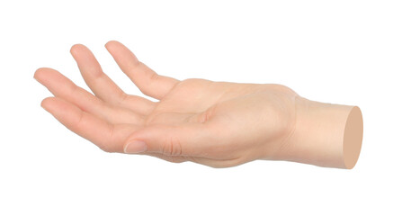 Hand shows virtual holding something isolated on transparent background. Contemporary art