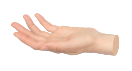 Hand shows virtual holding something isolated on transparent background. Contemporary art