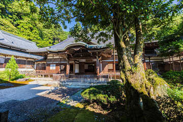 Fototapeta premium 永平寺