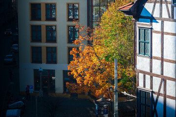 Fototapete bei efototapeten.de bestellen   