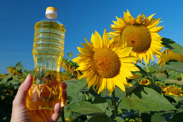 Human hand holding bottle of sunflower oil near sunflower in field