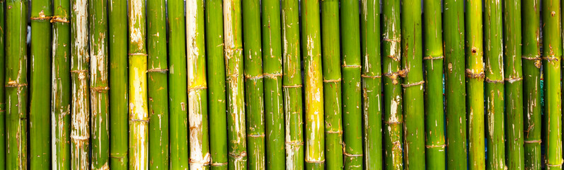 A close-up texture of green bamboo stems showing natural patterns and details.