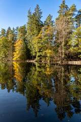 Forest Lake in the Fall with a bridge