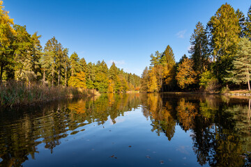 Forest Lake in the Fall