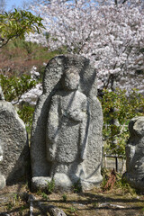 春の大沢池 石仏 京都市右京区嵯峨