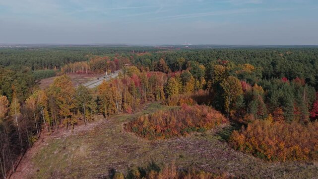 Autumn forest Dron dji air 3s, treetops