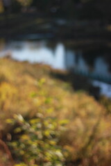 A dreamy view of reflections on the water.