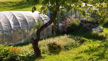 Horticulture. Backyard Greenhouse Gardening Project. Rural Countryside Lifestyle. - Powered by Adobe