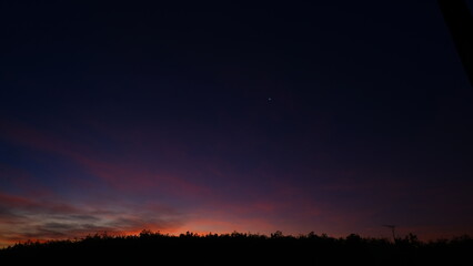 Dawn is approaching, the purple-orange belly at the tip of the tree glows brightly.