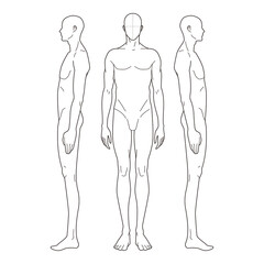 Minimalistic line drawing of a male figure in front and side views, anatomy study


