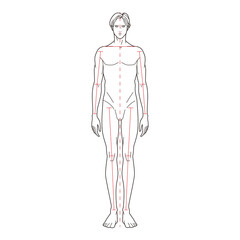 Front view of a male figure with red dashed lines for anatomical reference, minimalistic line art

