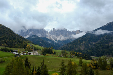 landscape in the summer