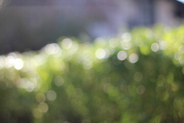 Obraz premium abstract bokeh background