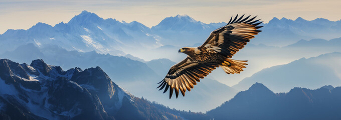 Fototapeta premium A majestic eagle soars above the stunning mountains at sunrise, showcasing its powerful wings and grace in nature