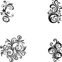 Calligraphic Design Elements Ornate Scroll flourishes filigree Swirl ornament stroke curls divider