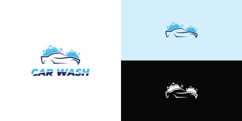 Car Wash and Detailing Logo Template