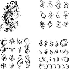 Calligraphic Design Elements Ornate Scroll flourishes filigree Swirl ornament stroke curls divider