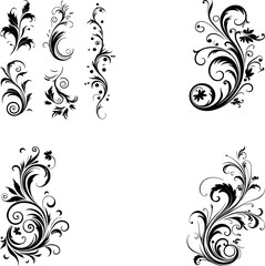 Calligraphic Design Elements Ornate Scroll flourishes filigree Swirl ornament stroke curls divider
