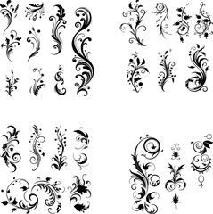 Calligraphic Design Elements Ornate Scroll flourishes filigree Swirl ornament stroke curls divider
