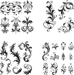 Fototapeta premium Calligraphic Design Elements Ornate Scroll flourishes filigree Swirl ornament stroke curls divider