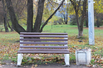 Empty Park Bench in Autumn with Fallen Leaves and Bare Trees