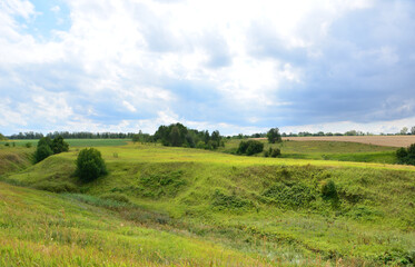Fototapeta premium a green grassy hill with a cloudy sky and a field with trees in the background 