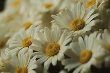 Fototapeta premium Daisy flower with generative ai