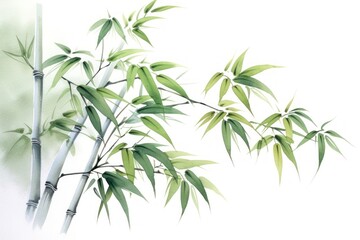 Fototapeta premium Bamboo plant freshness cannabis.