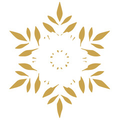 Snowflake golden white shape lines winter season decoration illustration