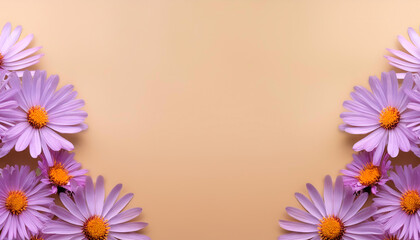 Symphyotrichum ericoides flower filling the edges of the frame isolated on a biege background