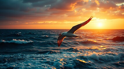 Fototapeta premium A solitary bird soars gracefully against a backdrop of vibrant sunset hues, leaving behind a trail of fleeting memories on the vast expanse of the ocean.