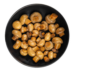 Champignon mushroom canned product tasty food dish fresh delicious gourmet food background on the...