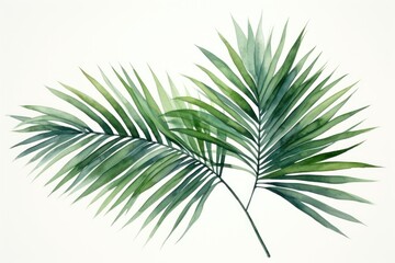 Plant leaf tree backgrounds.