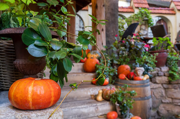 Seasonal fall harvest and Thanksgiving or Halloween decor and concept. Autumn terrace. Outdoor...