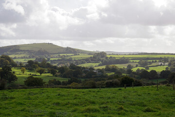 Obraz premium Scenic view over countryside fields and farmland in Dorset England. Rural landscape 