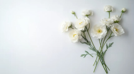 delicate arrangement of white flowers against a minimalistic background