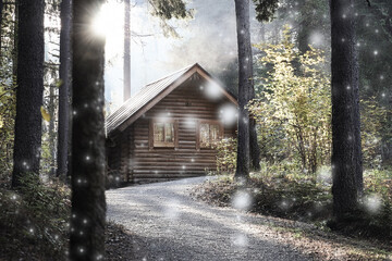 Image of a log house in a forest
