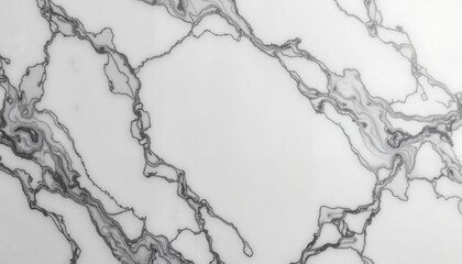 Luxury Marble Pattern in Black and White for Premium Design